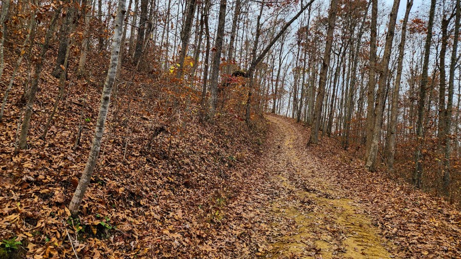 Ivy Branch 20 Trail Review Photo
