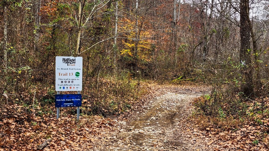Ivy Branch 13 Trail Review Photo