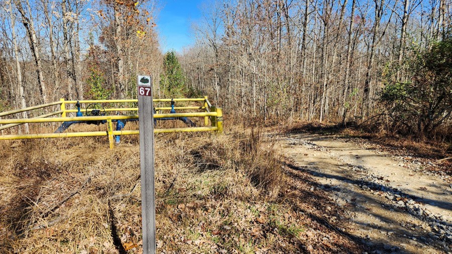 Ivy Branch 67 Trail Review Photo