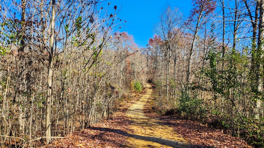 Ivy Branch 67 Trail Review Photo
