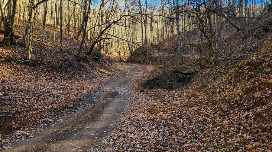 Ivy Branch 66 Trail Review Photo