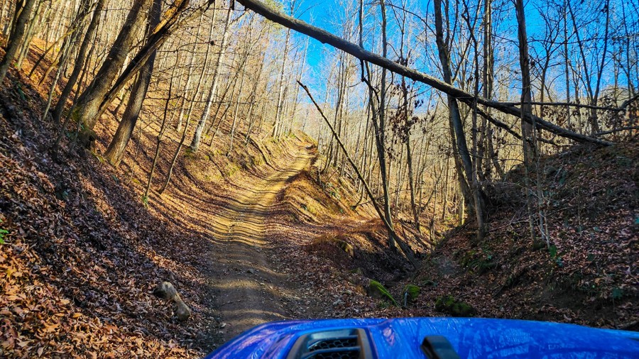 Ivy Branch 66 Trail Review Photo