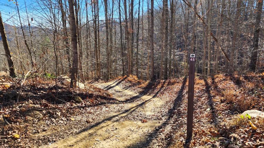 Ivy Branch 45 Trail Review Photo
