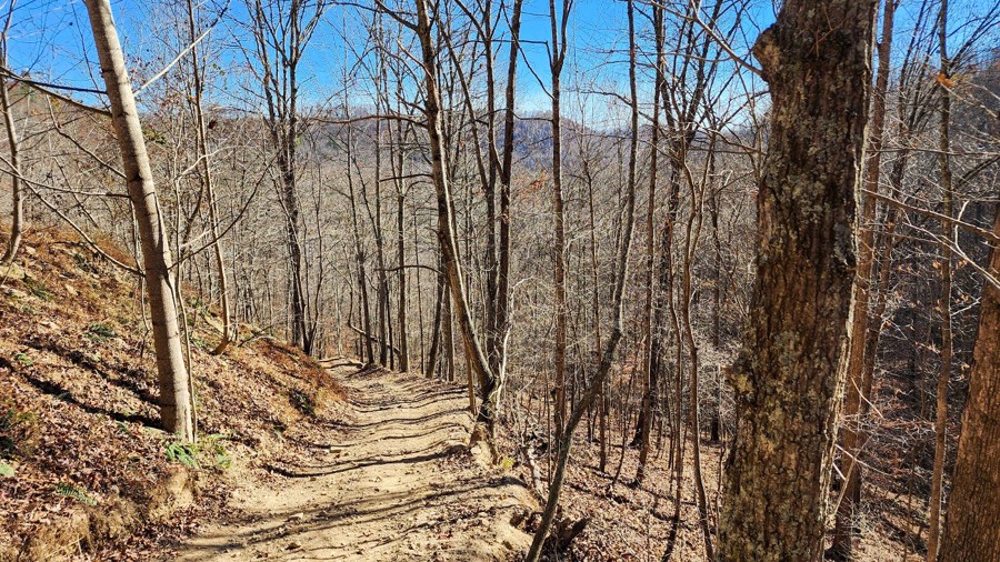Ivy Branch 45 Trail Review Photo