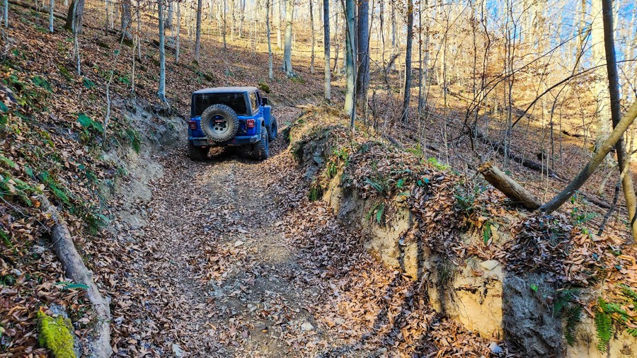Ivy Branch 59 Trail Review Photo