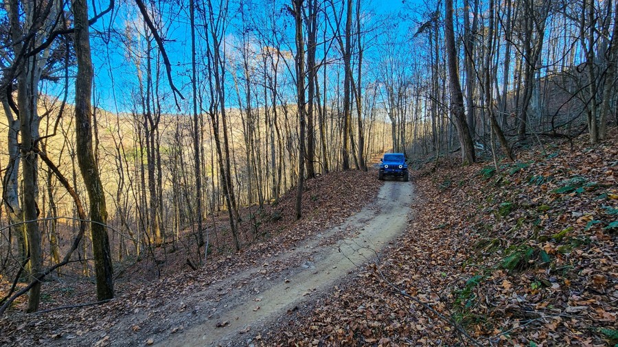 Ivy Branch 46 Trail Review Photo