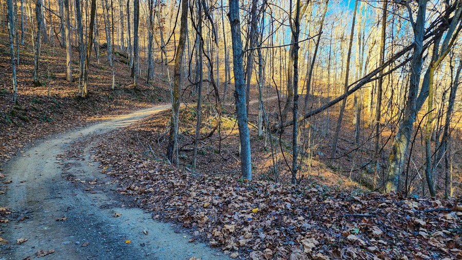 Ivy Branch 46 Trail Review Photo