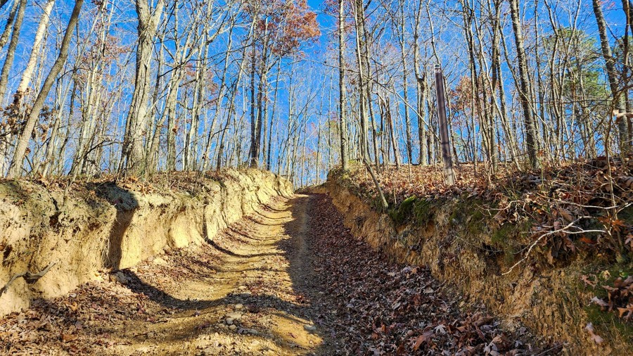 Ivy Branch 60 Trail Review Photo
