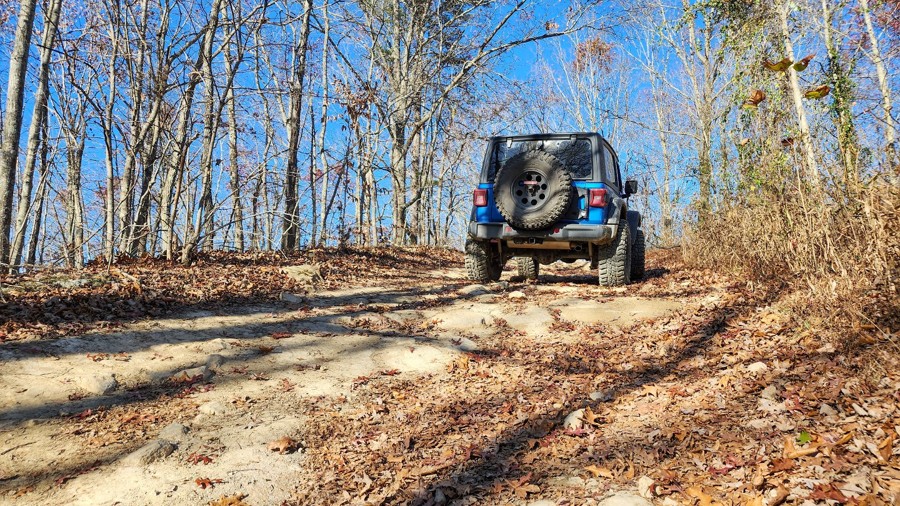Ivy Branch 38 Trail Review Photo