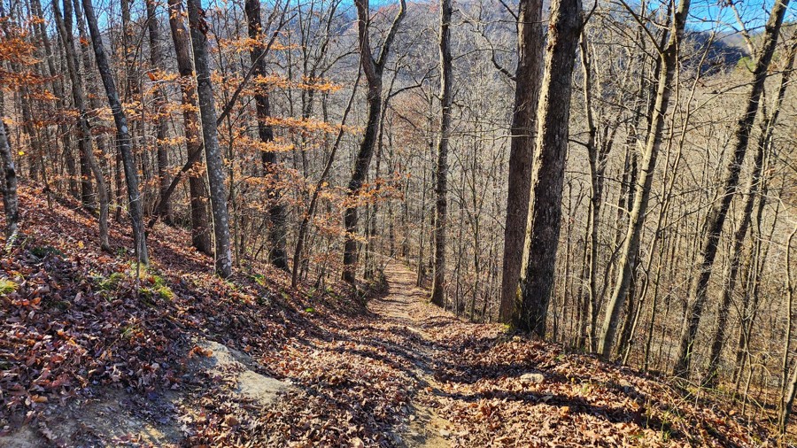 Ivy Branch 97 Trail Review Photo