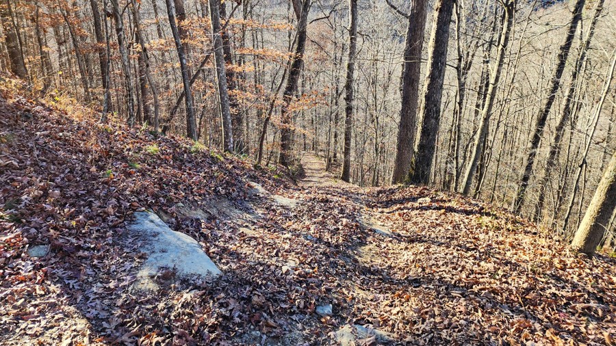 Ivy Branch 97 Trail Review Photo