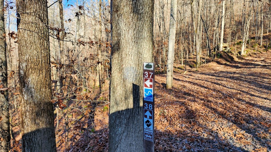 Ivy Branch 37 Trail Review Photo