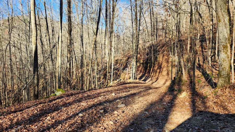 Ivy Branch 37 Trail Review Photo