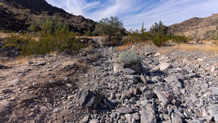 Woodcutters Pass Trail Review Photo