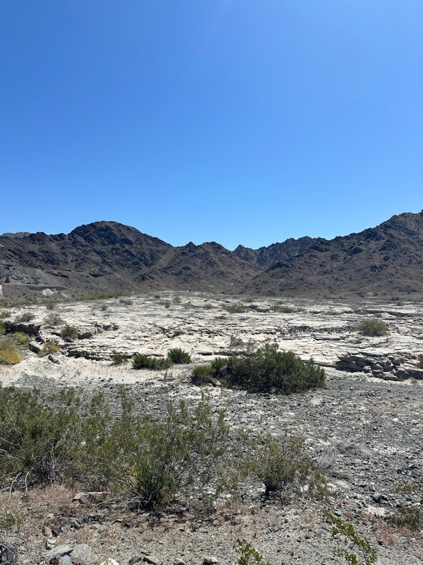 Woodcutters Pass Trail Review Photo