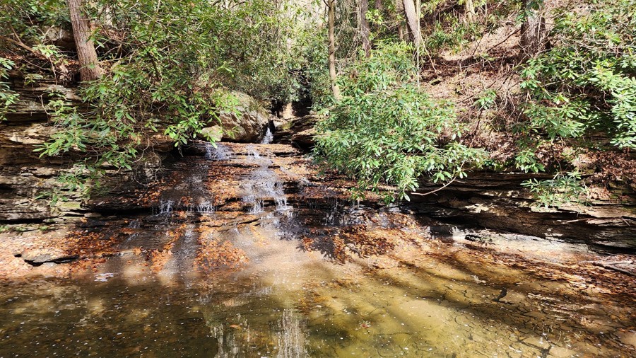 Mason Branch Trail Review Photo