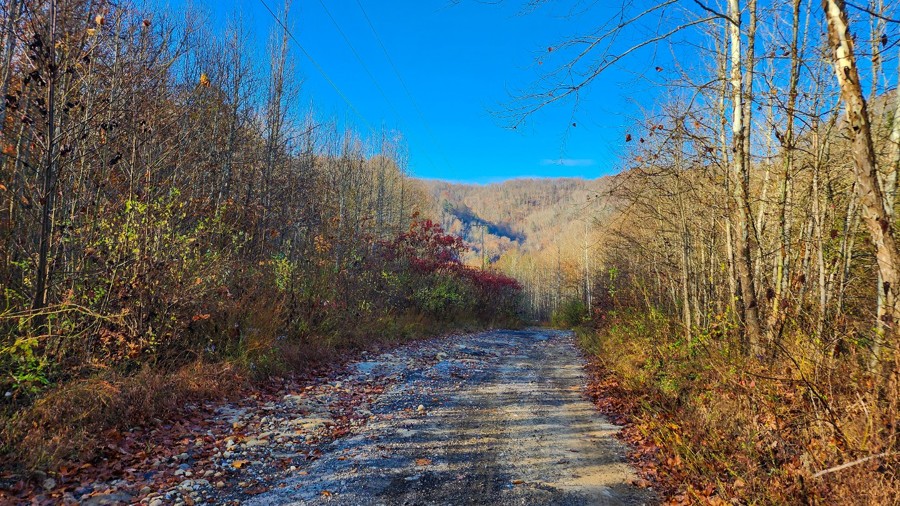 Lilly Fork to Beech Fork Trail Review Photo