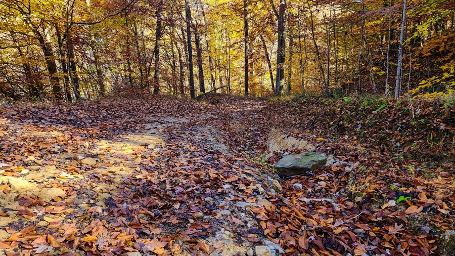 Mill Creek Road Trail Review Photo