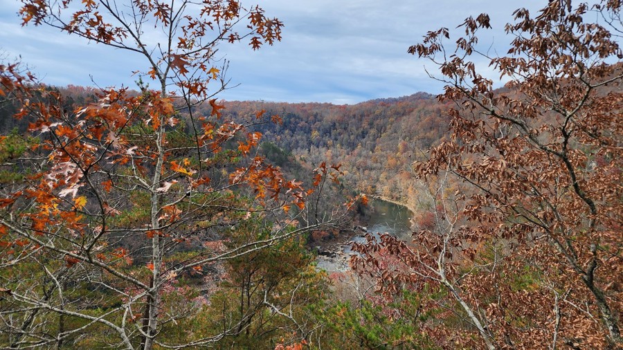 Peters Creek Ridge Trail Review Photo