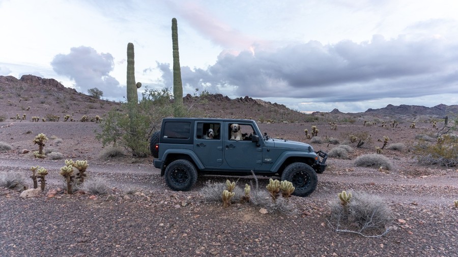 Big Eye Mine Trail Trail Review Photo