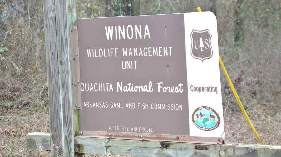 North Fork Trail Review Photo