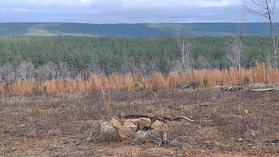 North Fork Trail Review Photo