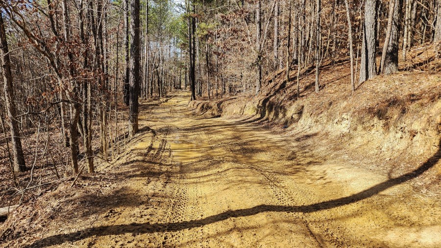 Stony Lonesome - Big Hill Bypass Trail Review Photo