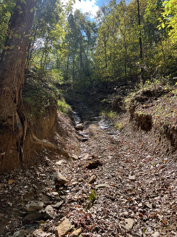 Stony Lonesome 17 - Gut Buster Trail Review Photo