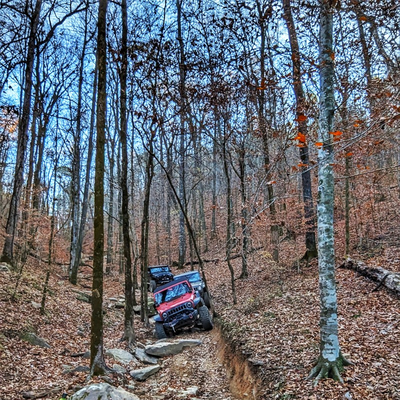 Stony Lonesome 29 - Bootleg Creek Trail Review Photo
