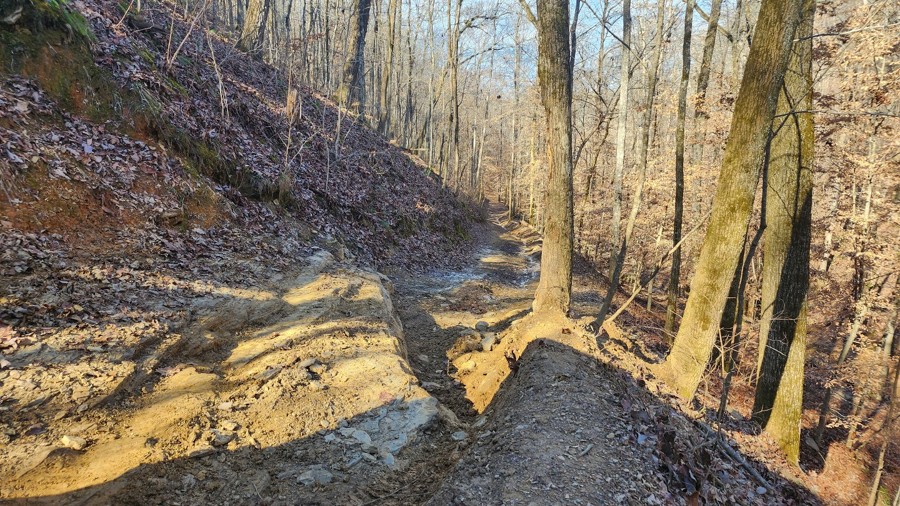 Stony Lonesome 414 Trail Review Photo