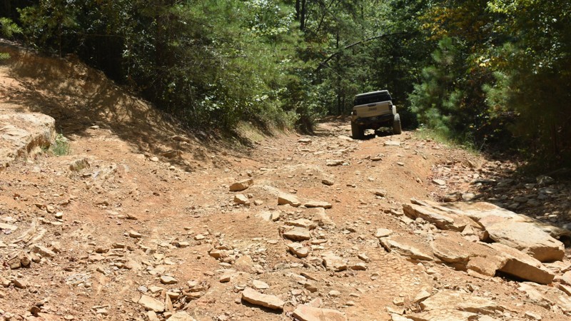 Stony Lonesome 501 Trail Review Photo