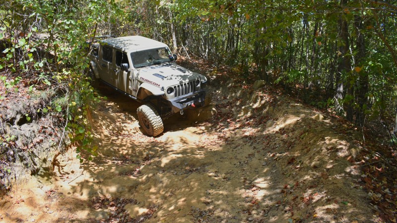 Stony Lonesome 501 Trail Review Photo
