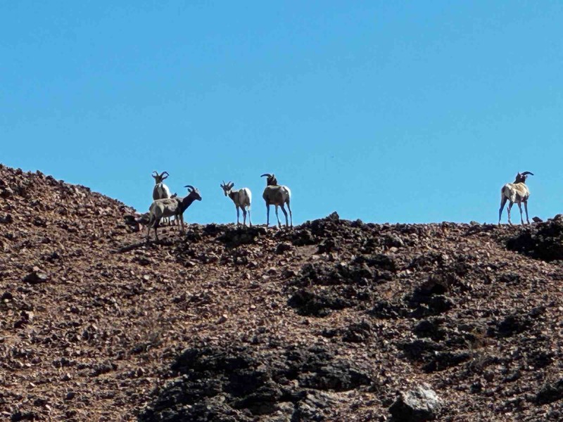 Laguna Ridge Trail Review Photo
