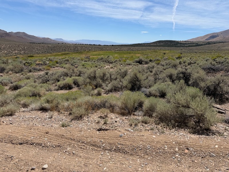 Sunrise Pass Road Trail Review Photo