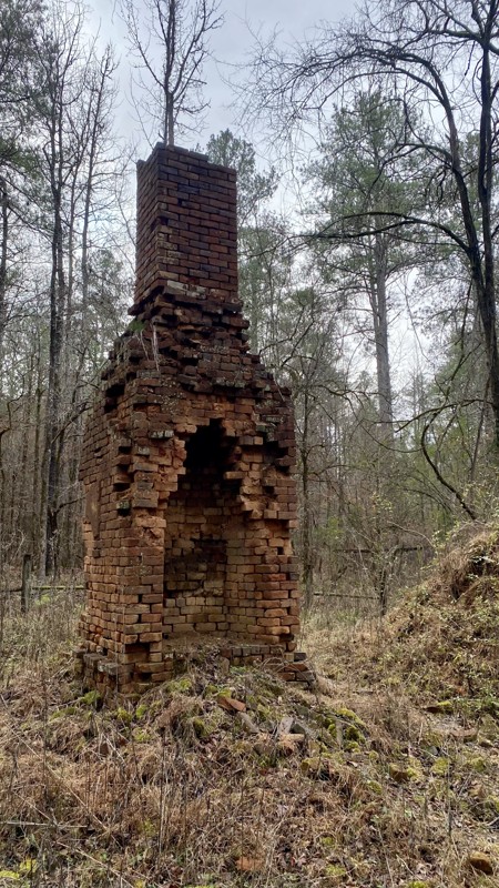 Scull Shoals Trail Trail Review Photo
