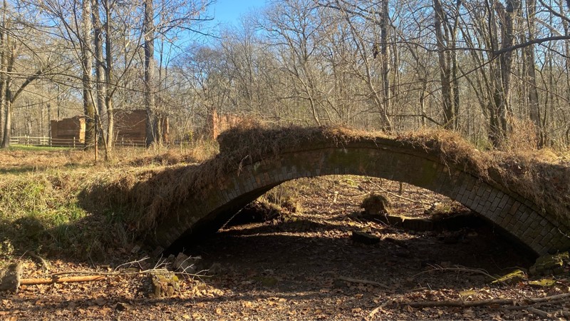 Scull Shoals Trail Trail Review Photo