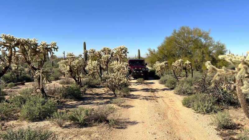 Arizona: 96 Ranch North Fence Hero Photo