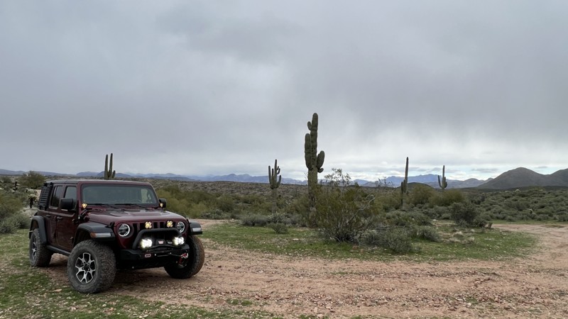 Arizona: Sycamore FR1847 Hero Photo
