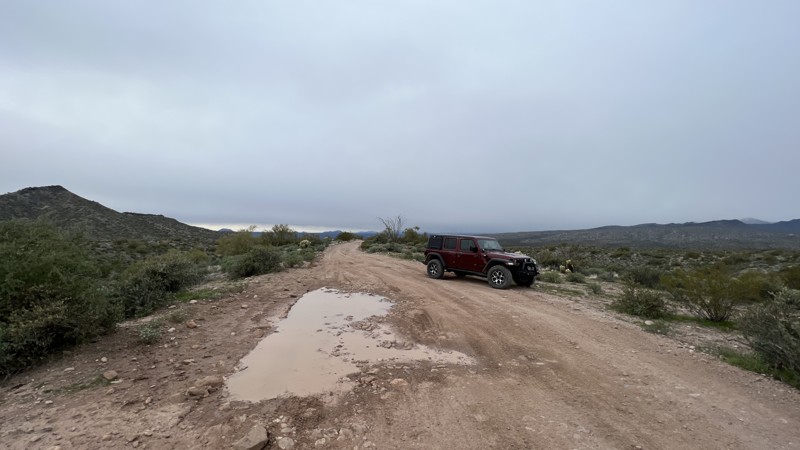 Arizona: Sycamore MT1848 Hero Photo