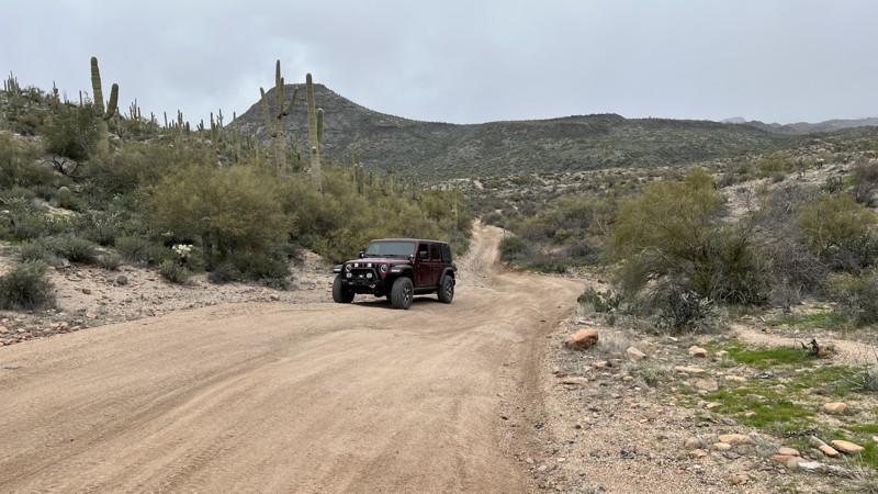Arizona: Sycamore MT1851 Hero Photo
