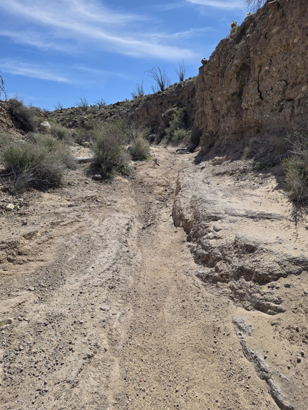 Goat Canyon Trail Trail Review Photo