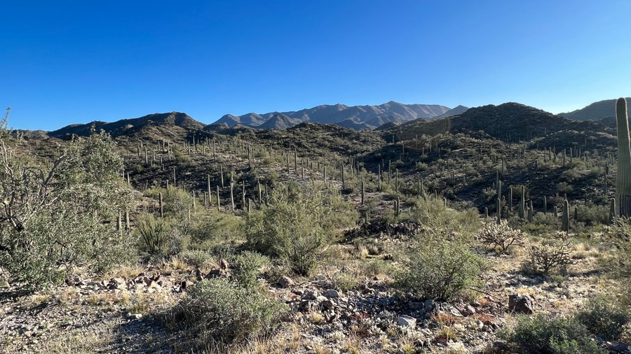 SDNM 8011A Trail Review Photo