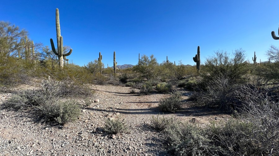 SDNM 8016 Trail Review Photo