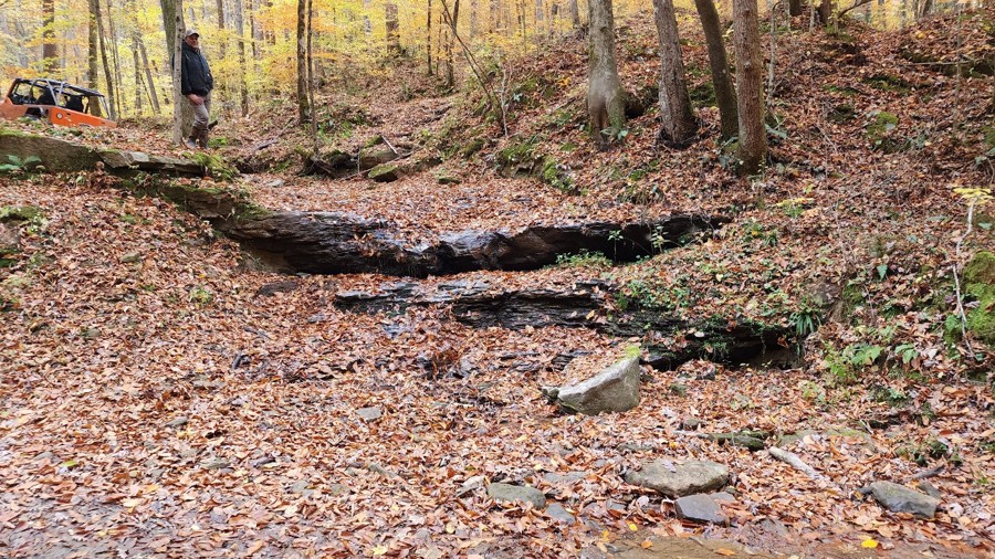 Waterfall Trail Trail Review Photo