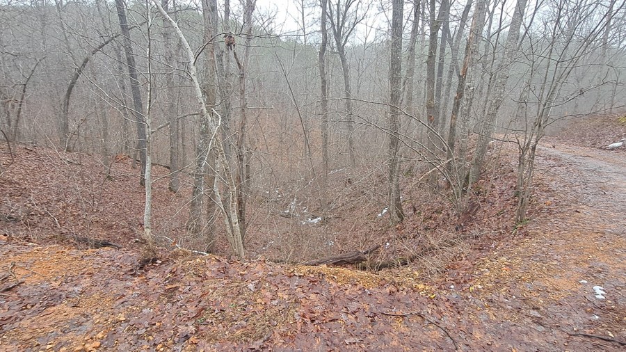 Cole Fork Road Trail Review Photo