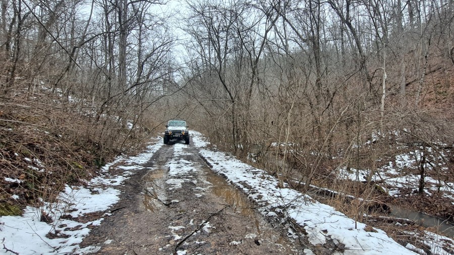 Cole Fork Road Trail Review Photo