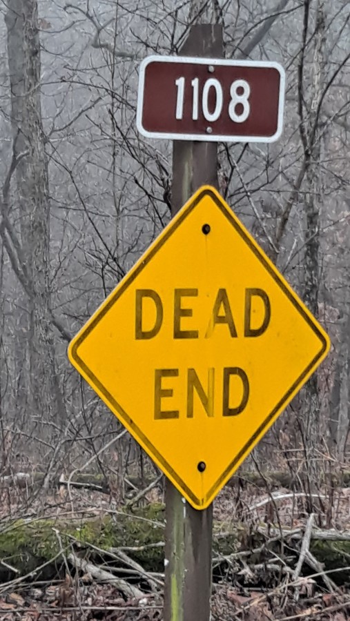 North Barkshed Road Trail Review Photo