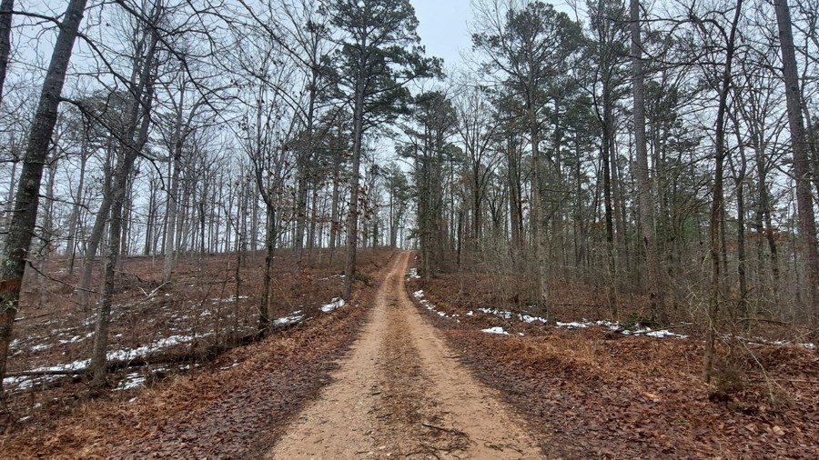 North Barkshed Road Trail Review Photo