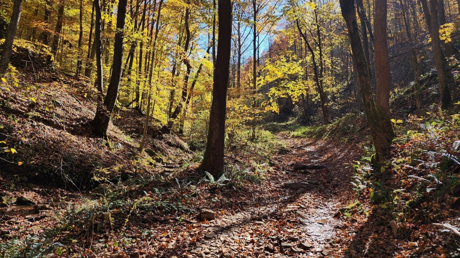 Rubes Hollow Trail Review Photo