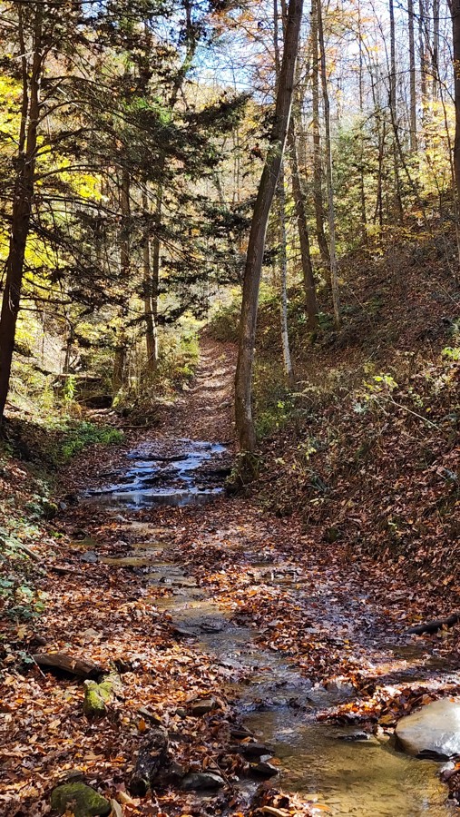Rubes Hollow Trail Review Photo